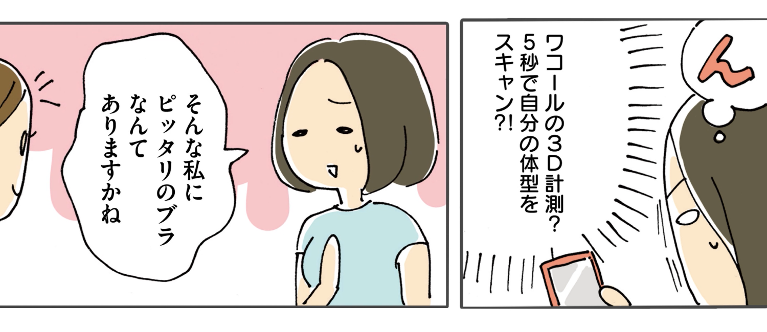 ワコール 3D スマート&トライ